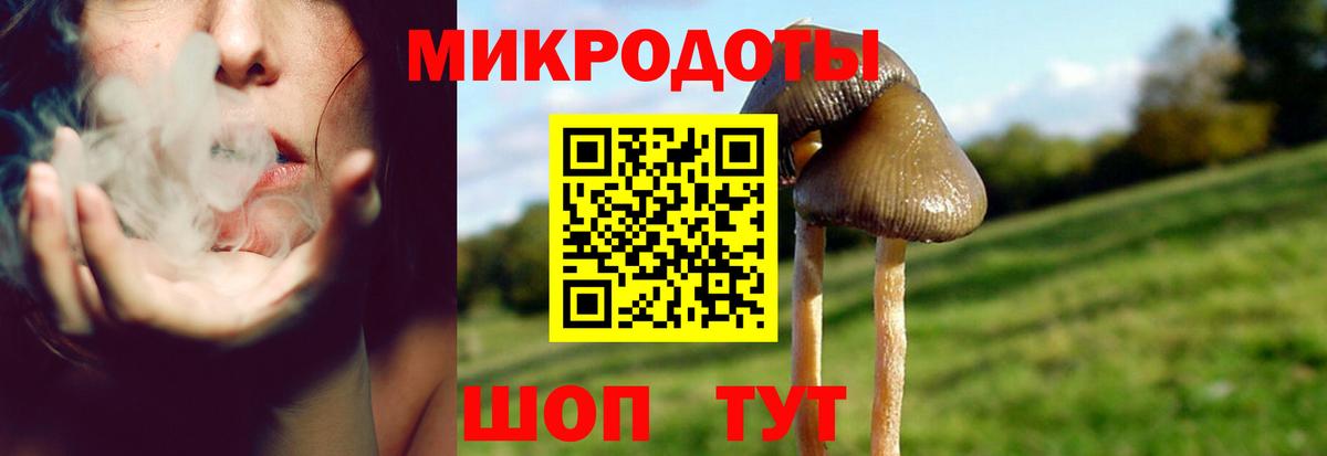 Псилоцибиновые грибы Cubensis  Вход с VPN  Галлюциногенные грибы Psilocybine cubensis  Томск 