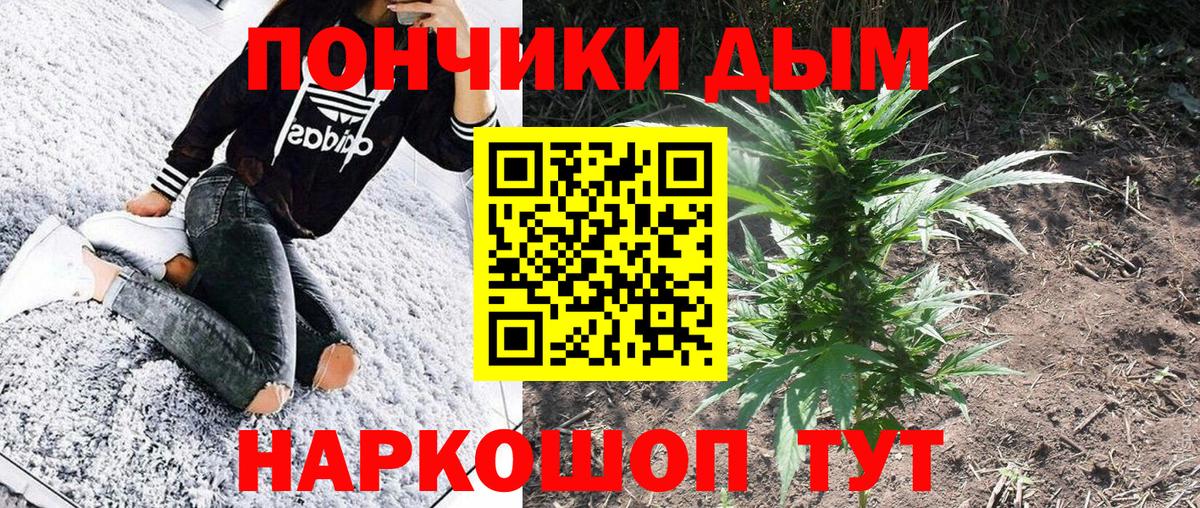 Бошки Шишки LSD WEED  Бошки Шишки THC 21%  Томск  Вход с VPN  Марихуана план 